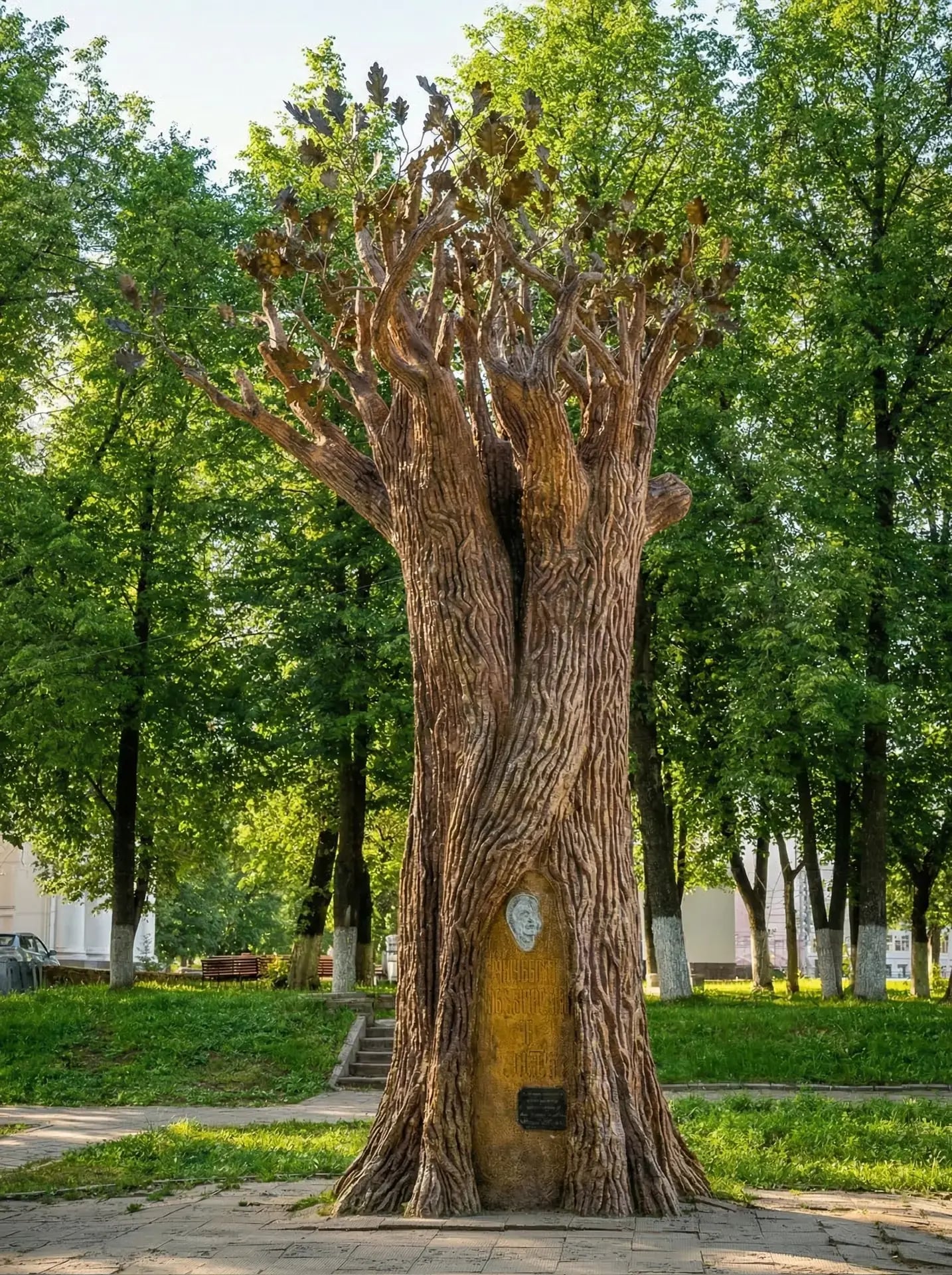 Дерево желаний в Кирове